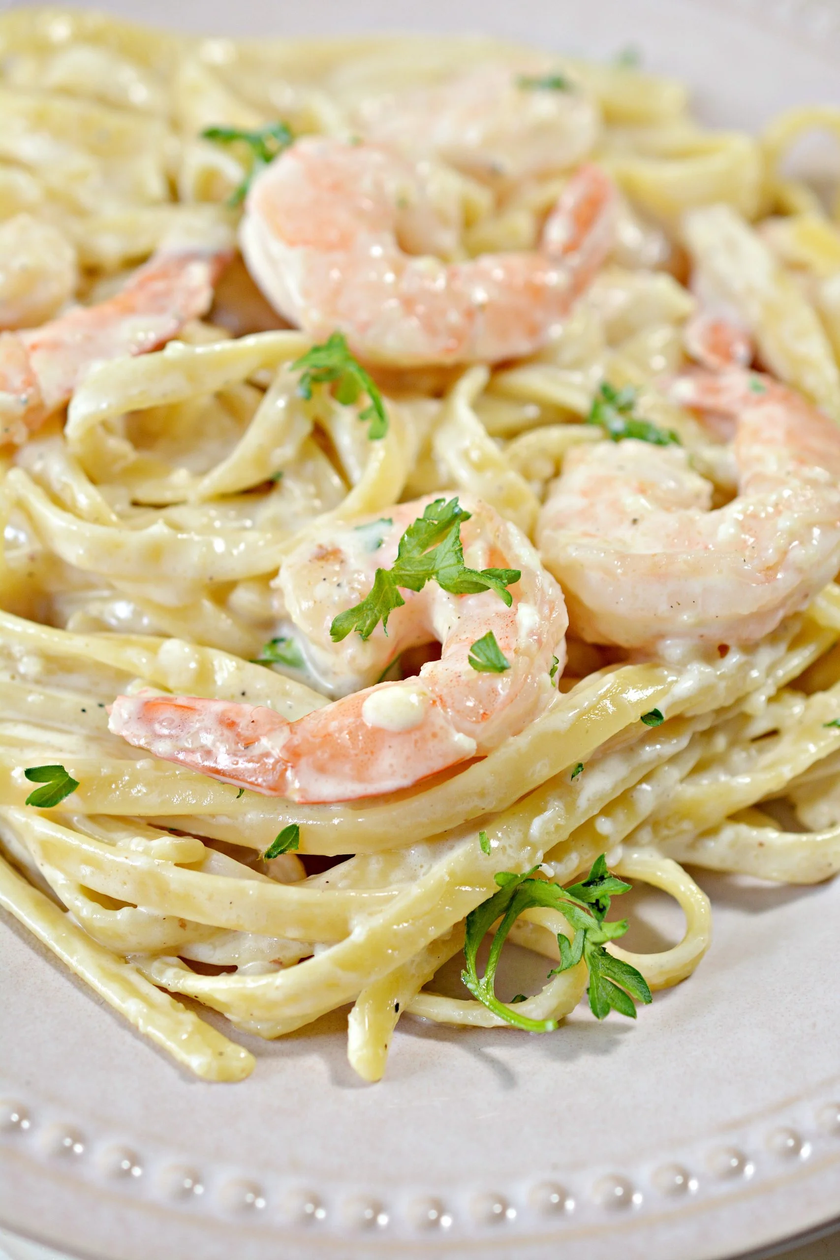 Fettuccine Alfredo with Shrimp